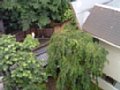 dscf0041.jpg